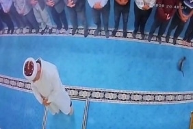 CAMİDE KEDİYİ TEKMELEYEN ŞAHSA SOSYAL MEDYADA TEPKİ YAĞDI: BAŞSAVCILIK HAREKETE GEÇTİ, GÖZALTINA ALINDI
