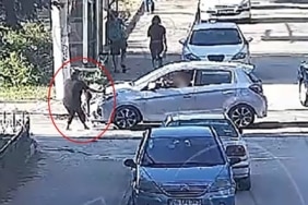 MİNİK MAVİ'NİN HAYATINI KAYBETTİĞİ KAZANIN GÖRÜNTÜLERİ ORTAYA ÇIKTI KAZADA ÖLEN 3 YAŞINDAKİ ELİF MAVİ AVLİ'NİN ACILI AİLESİ SÜRÜCÜYE EV HAPSİ VERİLMESİNE VE BİLİRKİŞİ RAPORUNA İTİRAZ ETTİ