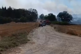 ARAZİDE ÇIKAN YANGIN, EKİPLERİN HIZLI MÜDAHALESİYLE SÖNDÜRÜLDÜ