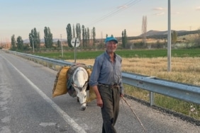İKİ DÖNÜM FASULYENİN ARKASINDAKİ GÜÇ: 74 YAŞINDAKİ ÇİFTÇİ VE BİR EŞEK