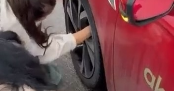 YOLA ATLAYAN KEDİ ARACIN TEKERİNE SIĞINDI, KURTARMA ANI KAMERADA