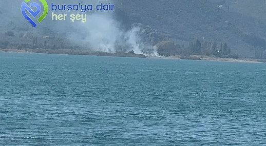 Ekran görüntüsü 2026-09-01 150826