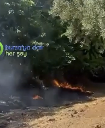 Ekran görüntüsü 2026-09-02 164624