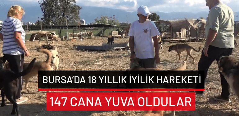 Bursa’da 18 yıllık iyilik hareketi: 147 cana yuva oldular