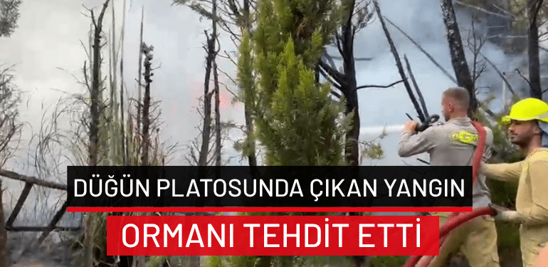 Bursa’da düğün platosunda çıkan yangın ormanı tehdit etti