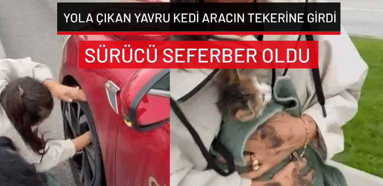 Bursa’da yola çıkan yavru kedi aracın tekerine girdi… Sürücü seferber oldu