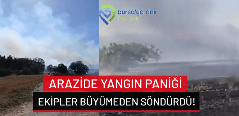 Bursa’da arazide yangın paniği: Ekipler büyümeden söndürdü!