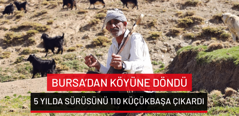 Bursa’dan köyüne döndü… 5 yılda sürüsünü 110 küçükbaşa çıkardı
