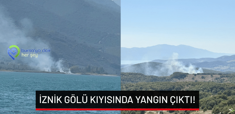 İznik Gölü kıyısında yangın çıktı!