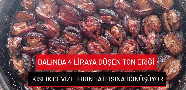 Dalında 4 liraya düşen ton eriği kışlık cevizli fırın tatlısına dönüşüyor