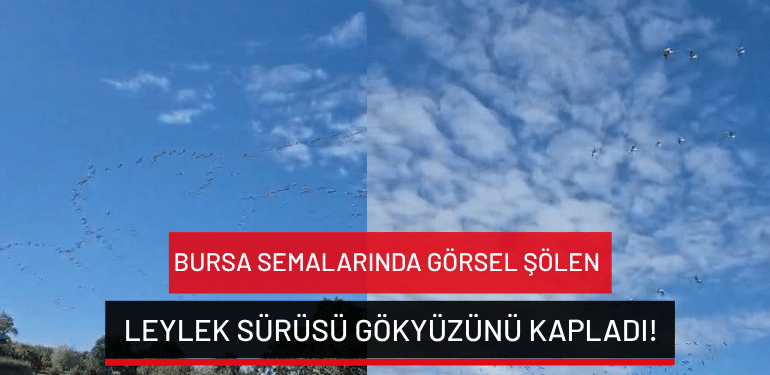 Bursa semalarında görsel şölen: Leylek sürüsü gökyüzünü kapladı!