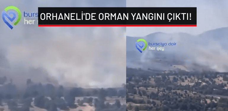 Bursa Orhaneli’de orman yangını çıktı!