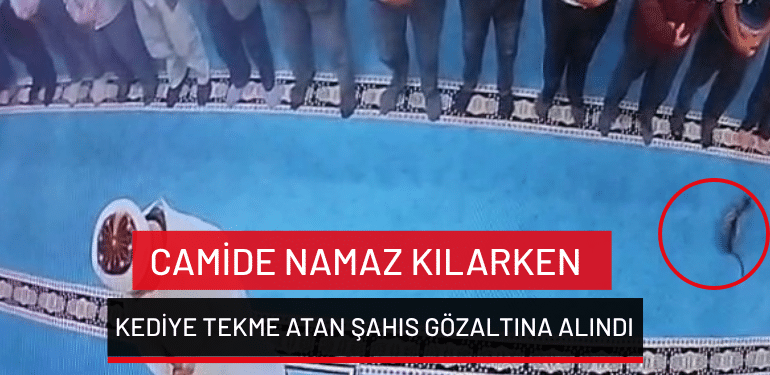 Erzurum’da camide namaz kılarken kediye tekme atan şahıs gözaltına alındı