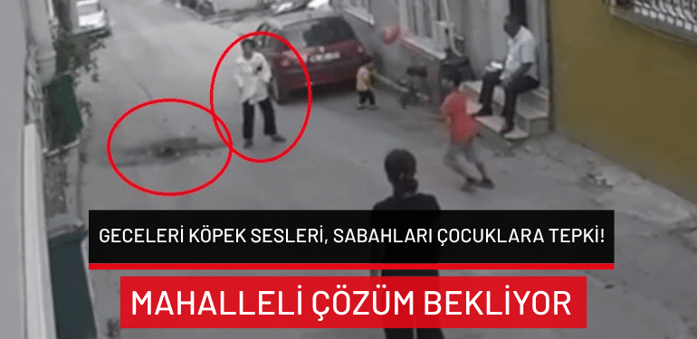 Bursa’da geceleri köpek sesleri, sabahları çocuklara tepki: Mahalleli çözüm bekliyor!