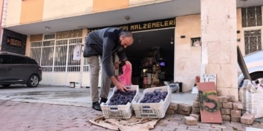 BURSALI ÇİFTÇİ ERİKLERİ DALINDA BIRAKMADI, ÇÖPE ATMADI FENOMEN OLDU BU SENE MAHSUL BEREKETLİ OLDU, ÜRÜN DEĞERİNİ BULAMADI ANCAK O YİNE PES ETMEYİP TOPLADI VE UYGUN FİYATLA VATANDAŞA SATTI