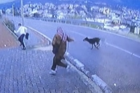 BURSA'DA KÖPEK DEHŞETİ KAMERADA: ÇOCUK KAÇARKEN BACAĞINI KIRDI