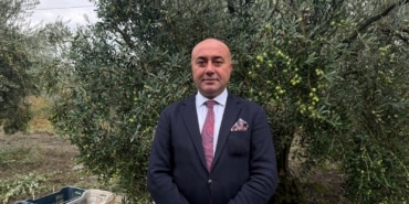 MARMARABİRLİK'TEN 60 BİN TONLUK ALIM PLANI...TÜRKİYE'DE ZEYTİNDE REKOR REKOLTE BEKLENTİSİ