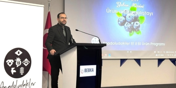 BURSA'NIN YABAN MERSİNİ İÇİN YOL HARİTASI PAYDAŞLARLA ÇİZİLİYOR