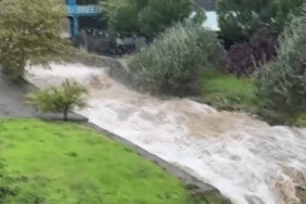 Ekran görüntüsü 2026-10-15 150209