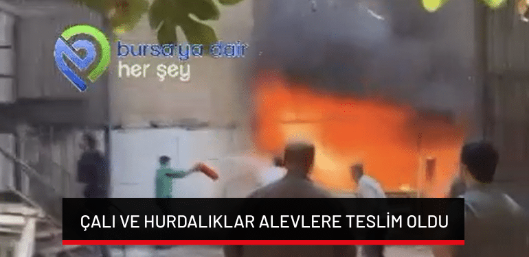 Bursa’da çalı ve hurdalıklar alevlere teslim oldu