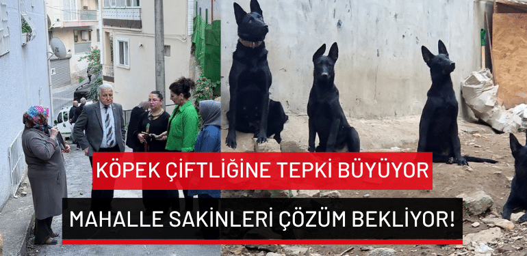 Bursa’da köpek çiftliğine tepki büyüyor: Mahalle sakinleri çözüm bekliyor!