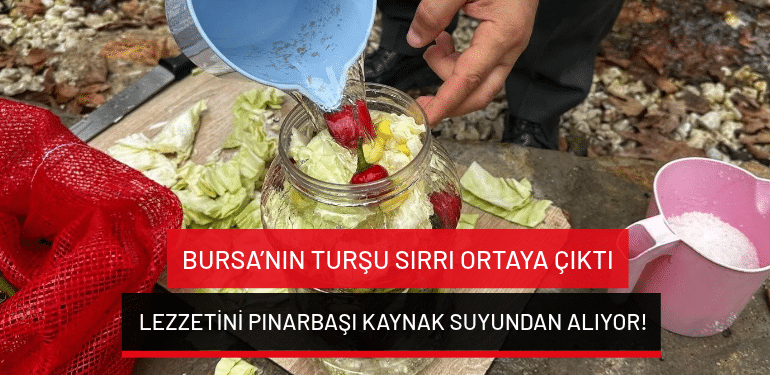 Bursa’nın turşu sırrı ortaya çıktı: Lezzetini Pınarbaşı kaynak suyundan alıyor!