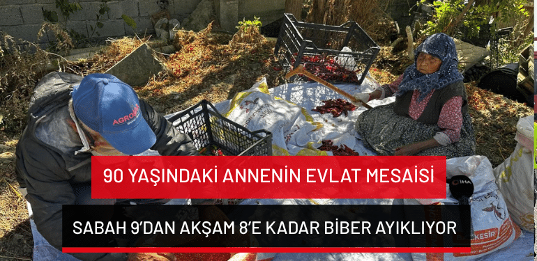 Bursa’da 90 yaşındaki annenin evlat mesaisi: Sabah 9’dan akşam 8’e kadar biber ayıklıyor