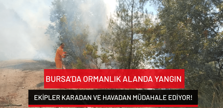 Bursa’da ormanlık alanda yangın: Ekipler karadan ve havadan müdahale ediyor!