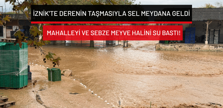 İznik’te derenin taşmasıyla sel meydana geldi: Mahalleyi ve sebze meyve halini su bastı!